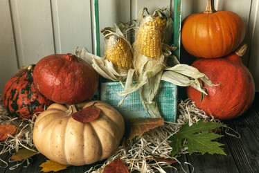 Similar image 21392989