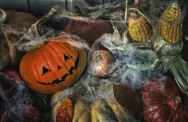 Similar image 21392991