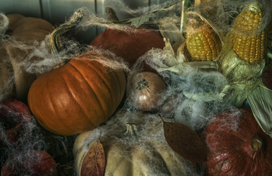 Similar image 21393276