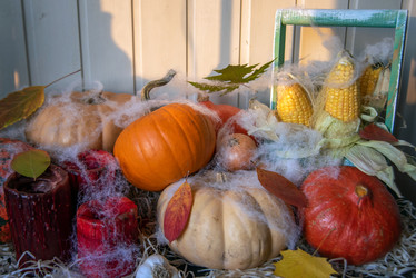 Similar image 21393278