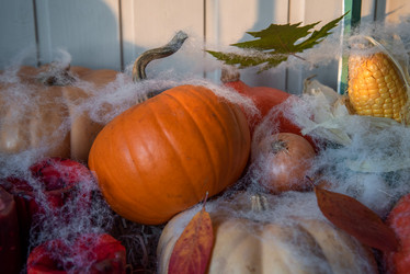 Similar image 21393280