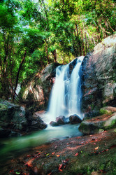 Similar image 21393536