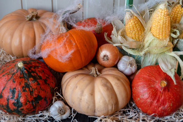 Similar image 21393537