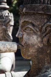 Similar image 21393539