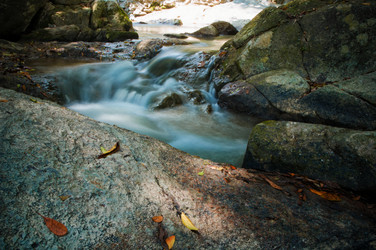 Similar image 21393540