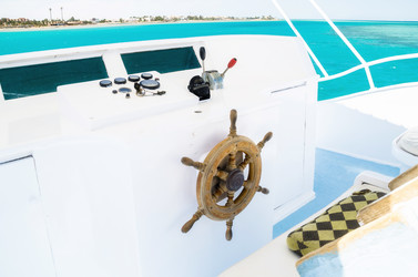 Similar image 21393029