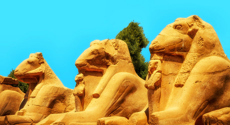 Similar image 21392316