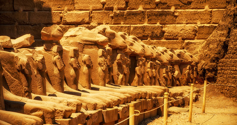 Similar image 21392623