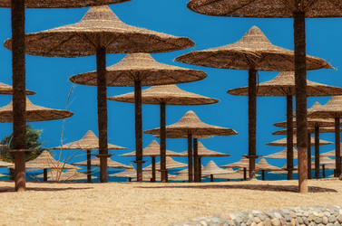 Similar image 21391337