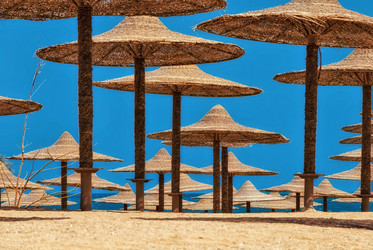 Similar image 21391338