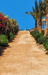 Similar image 21391542