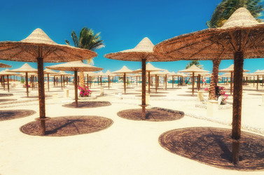 Similar image 21391846