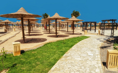 Similar image 21393833