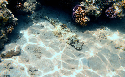 Similar image 21389741