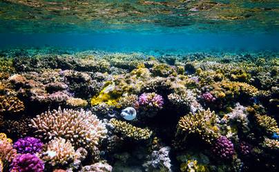 Similar image 21389742