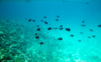 Similar image 21389743