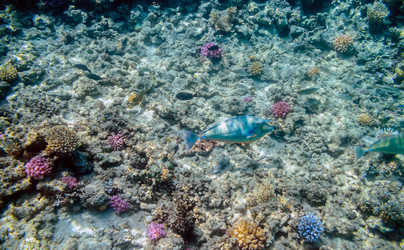 Similar image 21389745