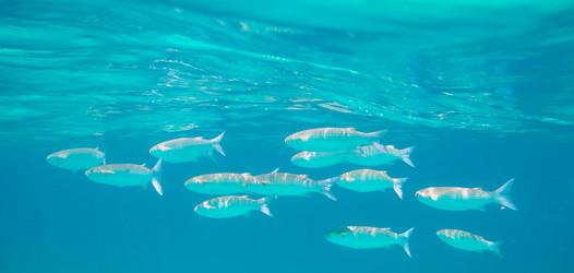 Similar image 21390139