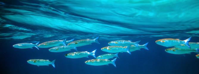 Similar image 21390140