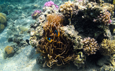 Similar image 21390141