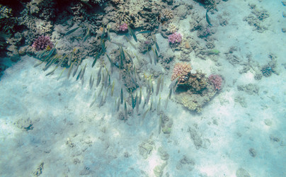 Similar image 21390142