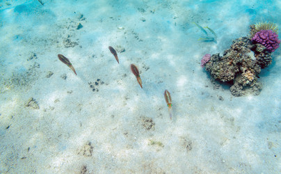 Similar image 21390145