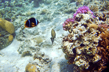 Similar image 21390148