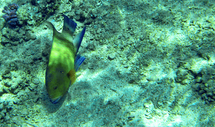 Similar image 21390150