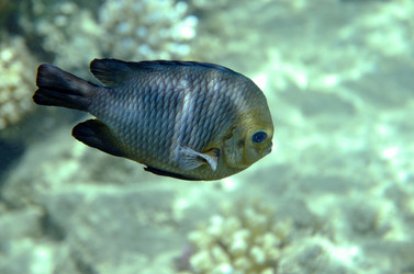 Similar image 21390812