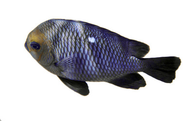 Similar image 21390905