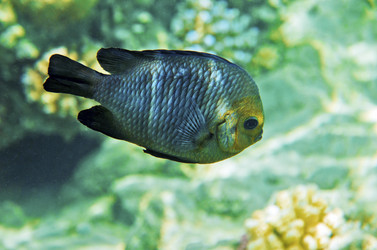 Similar image 21390906