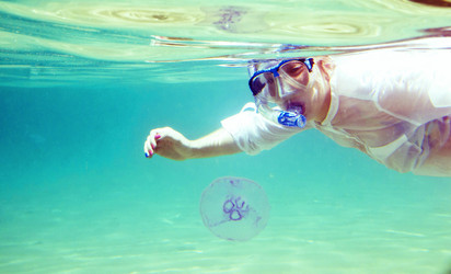 Similar image 21390907