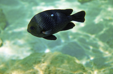 Similar image 21390908