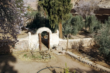 Similar image 21391856