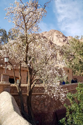 Similar image 21391857