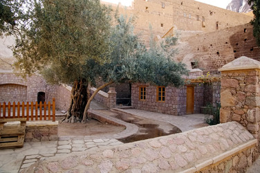 Similar image 21391858