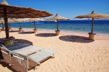 Similar image 21392112