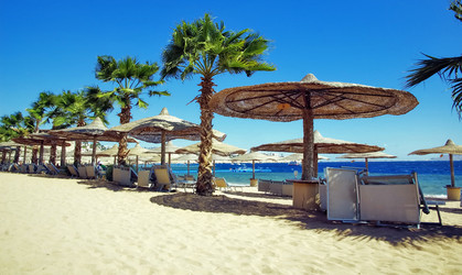 Similar image 21392113