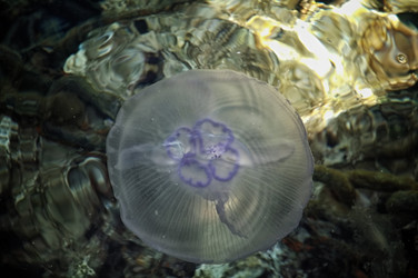 Similar image 21392323