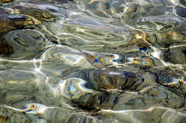 Similar image 21392627