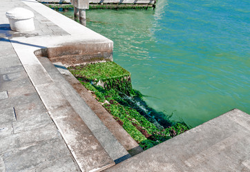 Similar image 21393040