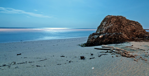 Similar image 21393044