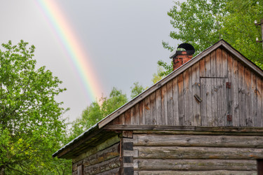 Similar image 21389754