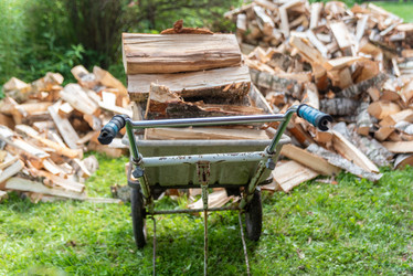 Similar image 21389755