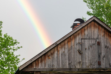 Similar image 21390176