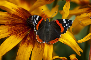 Similar image 21391128