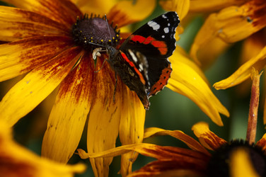 Similar image 21391130