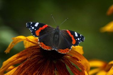 Similar image 21391355