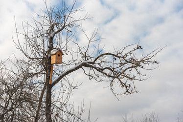 Similar image 21391553