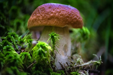 Similar image 21391557